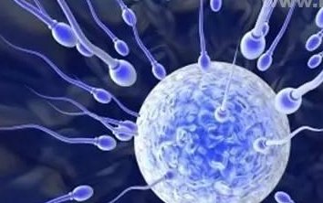 临海市做试管婴儿怎么样？推荐这几家试管医院