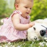 国内十大排名如何？国内三代试管婴儿费用如何？