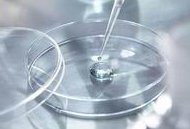 在格尔木市做试管婴儿长方案周期需要多久？超长方案促排流程是怎么样的？