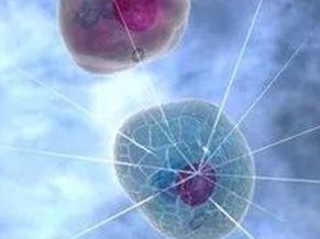 附附近有致人不孕不育的吗（附近治疗不孕不育症较好的医院）